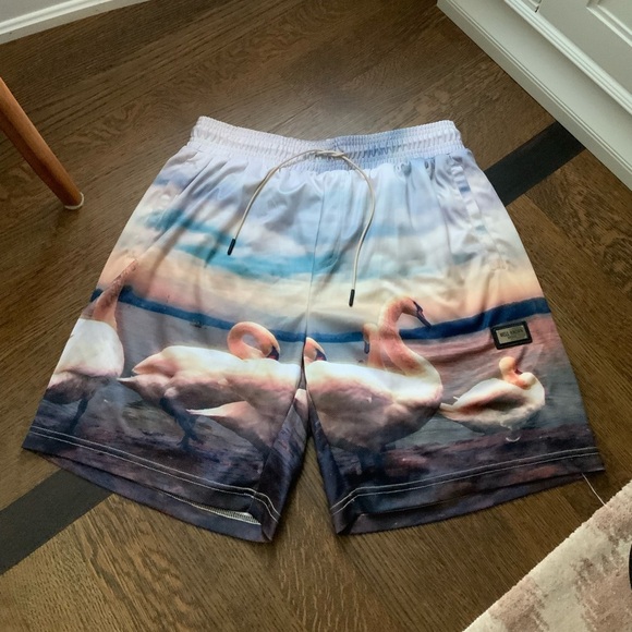 WELL KNOWN STUDIOS The Swan Family Shorts 7”  Men’s Size Large Street Wear NEW - Picture 7 of 13